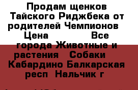 Продам щенков Тайского Риджбека от родителей Чемпионов › Цена ­ 30 000 - Все города Животные и растения » Собаки   . Кабардино-Балкарская респ.,Нальчик г.